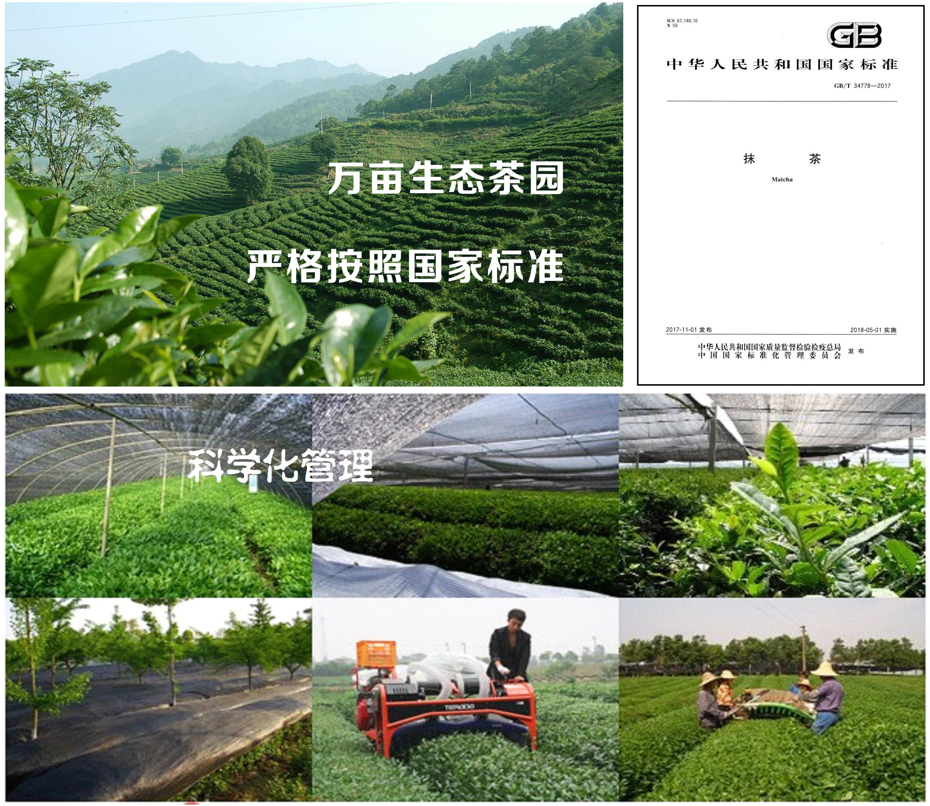 石抹香抹茶品質(zhì)保證圖片